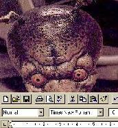 Virus na telinha do Word (que na epoca do artigo nao existia)