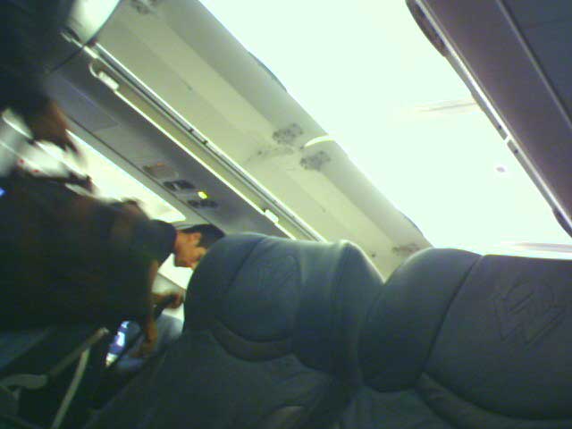 IMAGE_447.jpg
