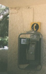 box1.jpg (10485 bytes)