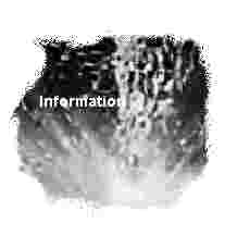 Information about DPP