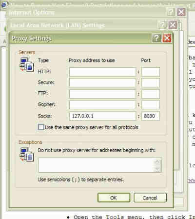 Proxy Settings Graphic