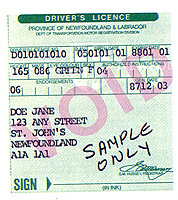 New Foundland 1 thumbnail