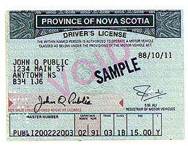 New Foundland 1 thumbnail