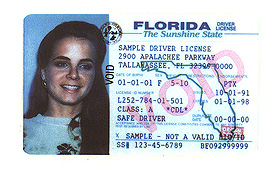 Florida 1
        thumbnail