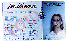 Louisiana 1
        thumbnail