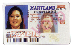 Maryland 1
        thumbnail