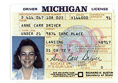 Michigan
        2 thumbnail