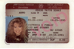 New Jersey 1
        thumbnail