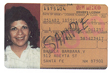 New Mexico
        4 thumbnail