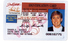 South Dakota 1
        thumbnail