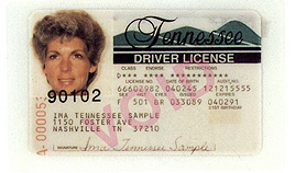 Tennessee 1
        thumbnail