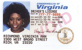 Virginia 1
        thumbnail