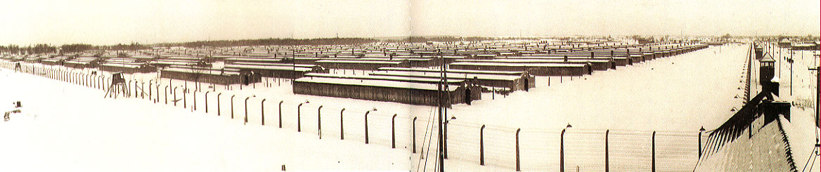 Birkenau in Winter