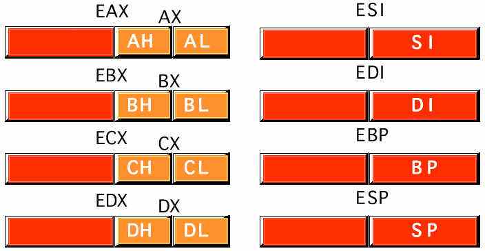 wpe1.jpg (38490 bytes)