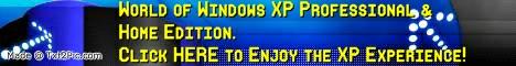 All You Ever Wanted to Know about Microsoft Windows XP WinXP