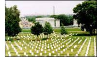 Scene at Arlington National Cemetery