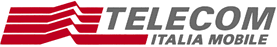 TIM logo