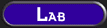 Lab