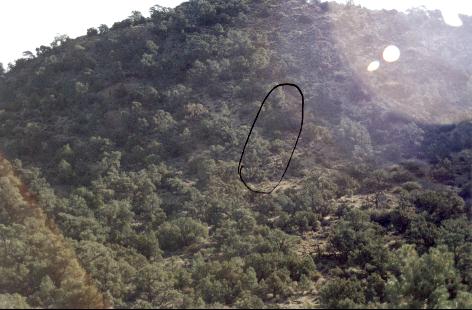 Walt Ray's impact site