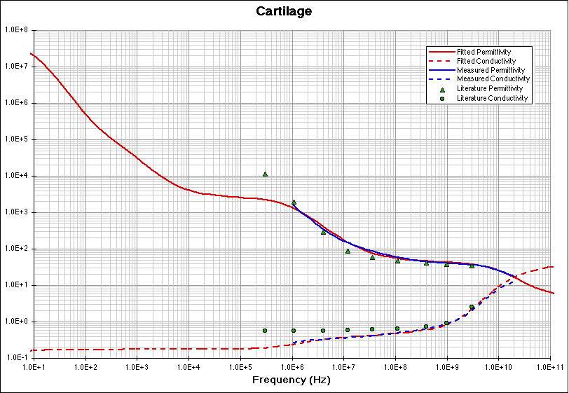 Cartilage fitting model