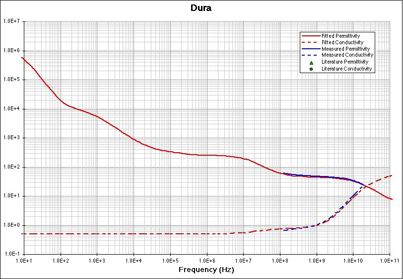 Dura fitting model