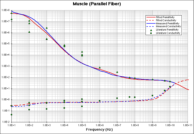 Muscle (parallel fibers) fitting model