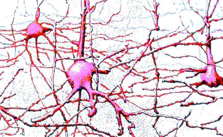  [picture of nerve-weighted man]

