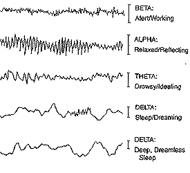 brainwaves