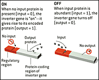 Science Image