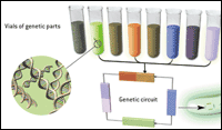 Science Image