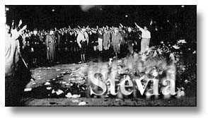Photograph of banned book burning in Nazi Germany