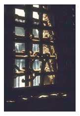 Prison bars from inside.